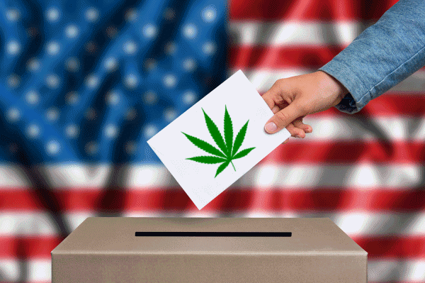 Marijuana Laws and the 2020 Election